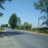 268-karywtissa-melissi