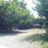 184-palaifyto-ioannou-prodromou