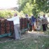 229-agios-georgios