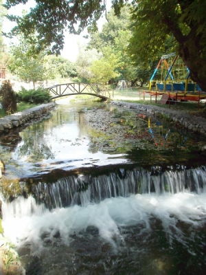 Η Αραβησσός