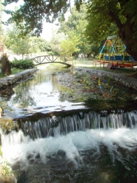 Η Αραβησσός
